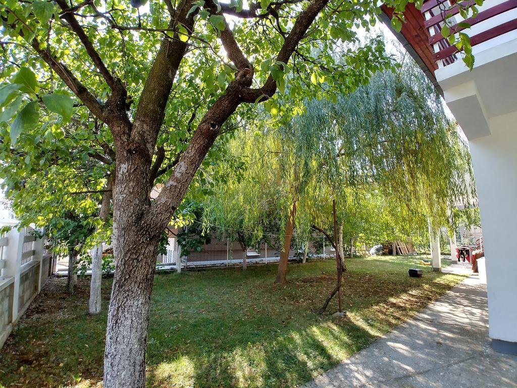 Forest Apartment Nikšić Екстериор снимка
