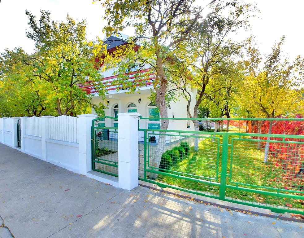 Forest Apartment Nikšić Екстериор снимка
